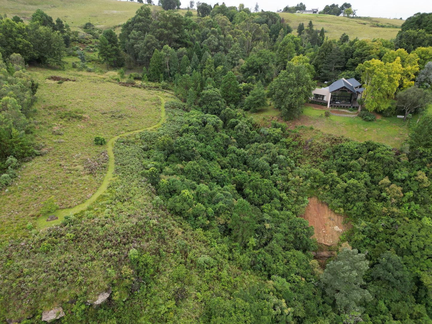 Drakenzicht Winterton Kwazulu Natal South Africa Tree, Plant, Nature, Wood, Aerial Photography