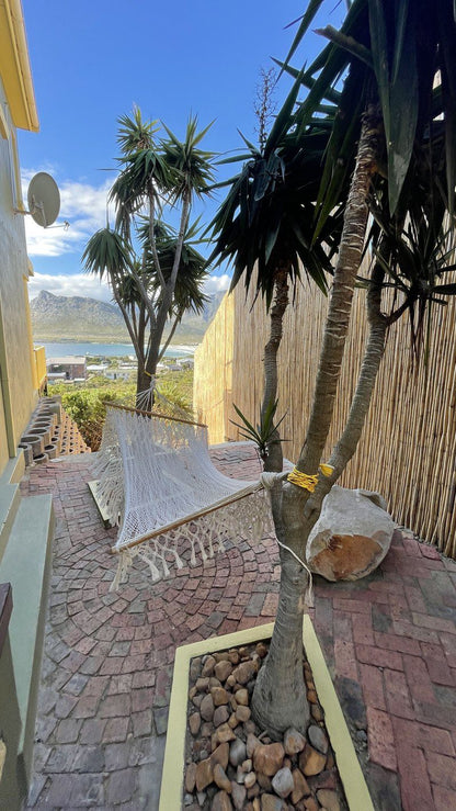 Dream View Rental Pringle Bay Western Cape South Africa Palm Tree, Plant, Nature, Wood