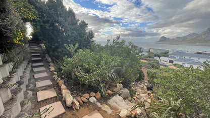 Dream View Rental Pringle Bay Western Cape South Africa Beach, Nature, Sand, Palm Tree, Plant, Wood, Framing