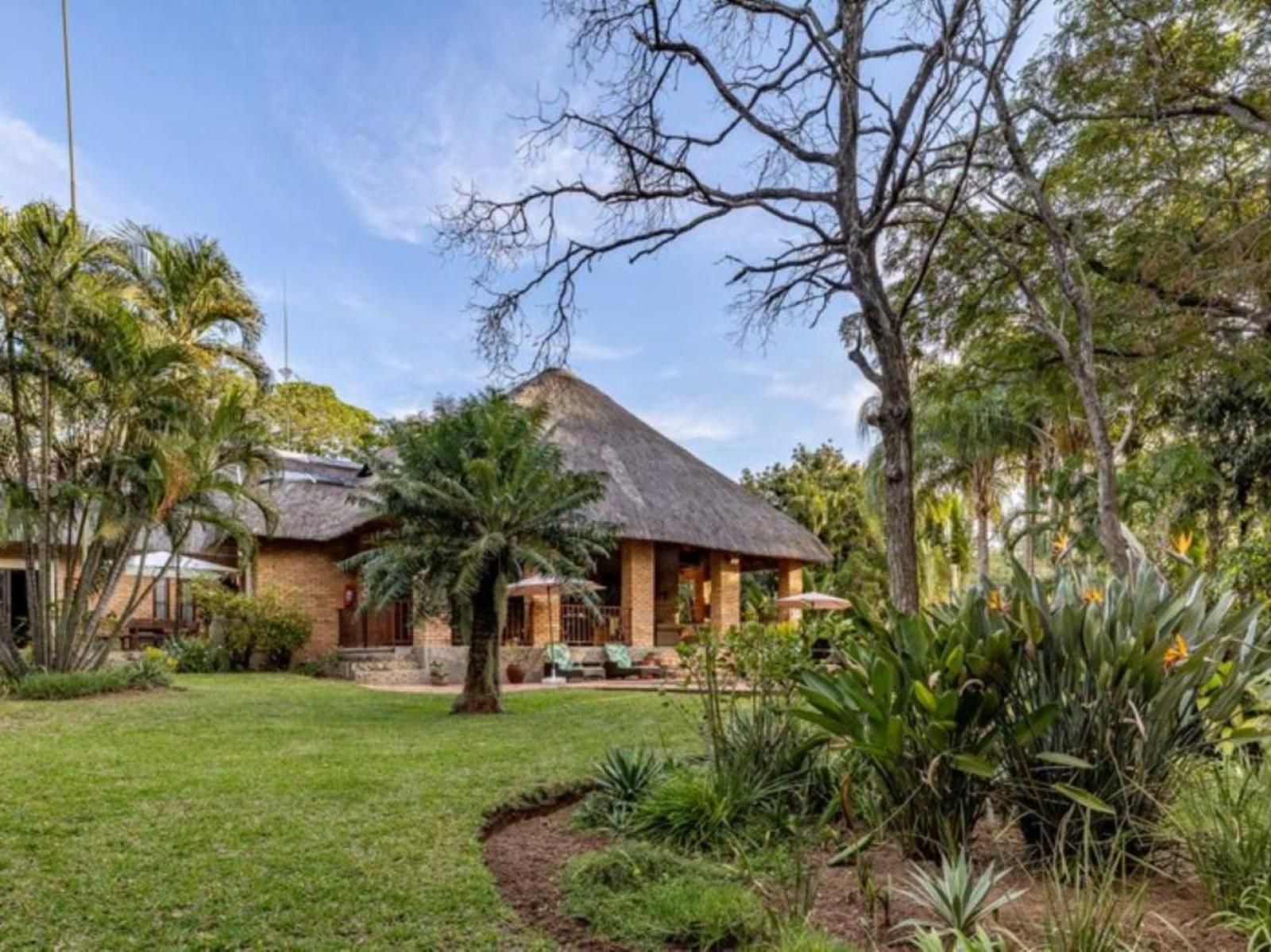 Dreamfields Guesthouse Hazyview Mpumalanga South Africa Complementary Colors, Palm Tree, Plant, Nature, Wood