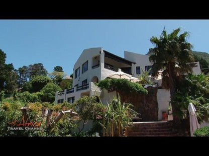 Dreamhouse Guest House Hout Bay Cape Town Western Cape South Africa Building, Architecture, House, Palm Tree, Plant, Nature, Wood