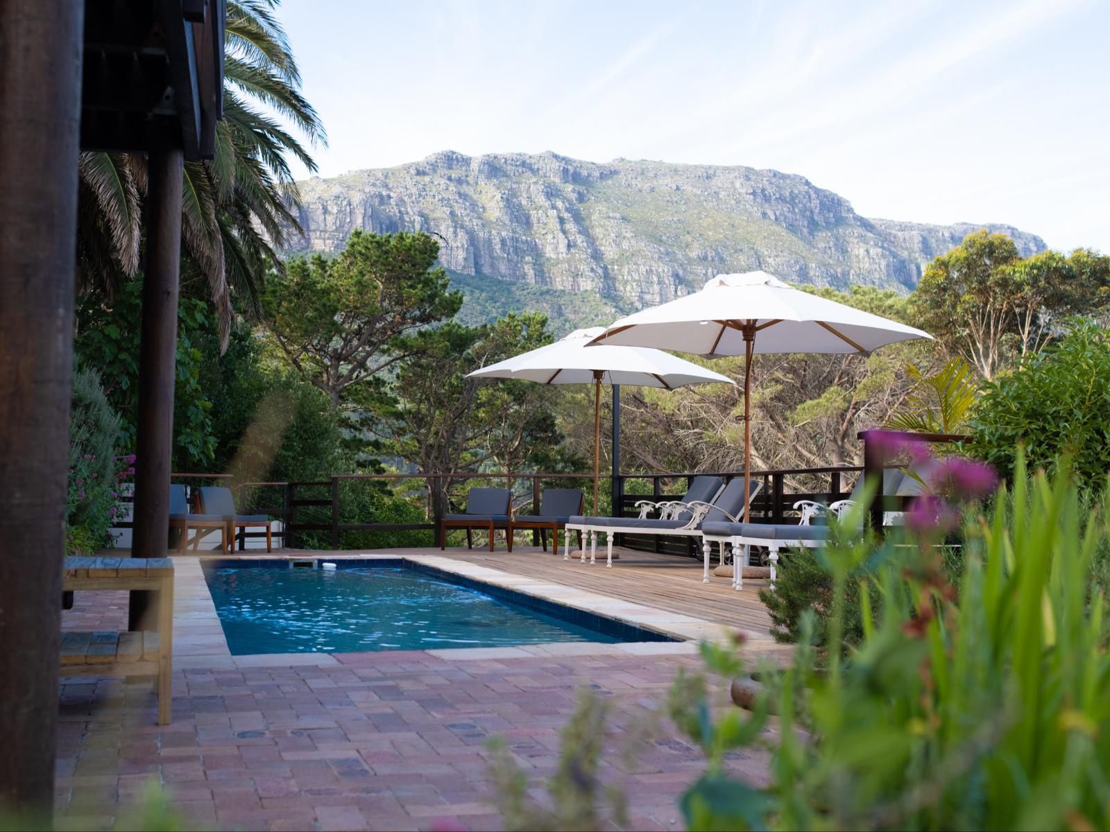 Dreamhouse Guest House Hout Bay Cape Town Western Cape South Africa Swimming Pool