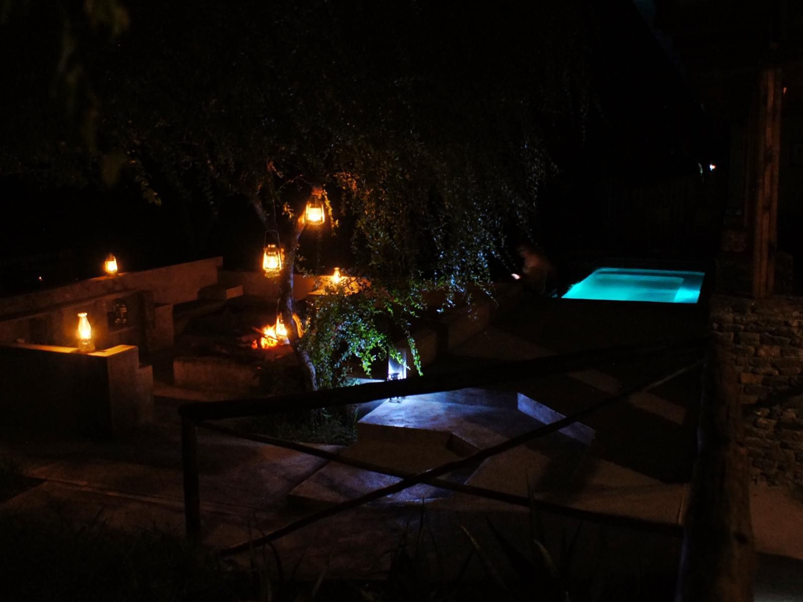 Dream Of Africa Bush Lodge Marloth Park Mpumalanga South Africa Dark, Palm Tree, Plant, Nature, Wood, Swimming Pool