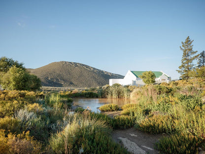 Drie Kuilen Nature Reserve Drie Kuilen Private Nature Reserve Western Cape South Africa Complementary Colors