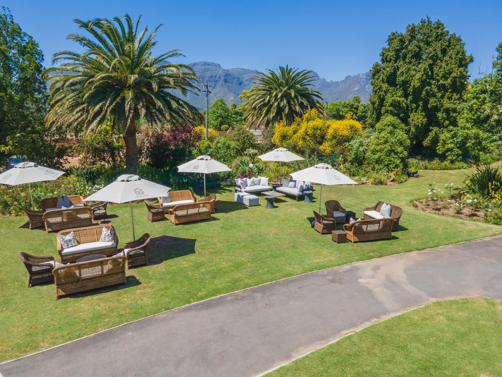 Val De Vine Jamestown Stellenbosch Stellenbosch Western Cape South Africa Palm Tree, Plant, Nature, Wood