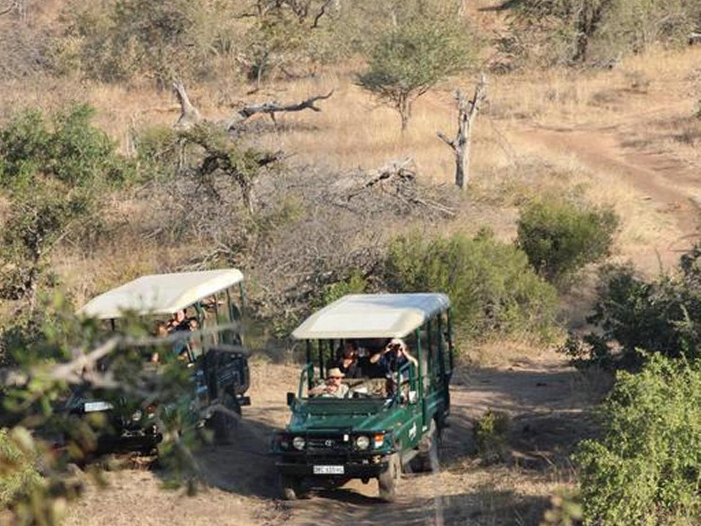 Greenfire Game Lodge Balule Nature Reserve Mpumalanga South Africa Forest, Nature, Plant, Tree, Wood, Quad Bike, Vehicle