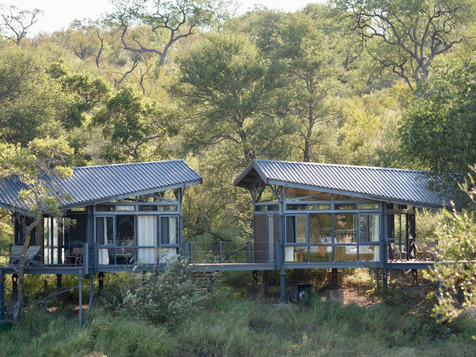 Greenfire Game Lodge Balule Nature Reserve Mpumalanga South Africa 