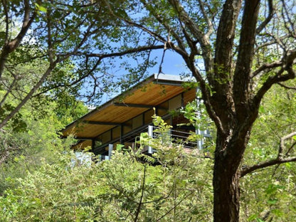 Greenfire Game Lodge Balule Nature Reserve Mpumalanga South Africa Cabin, Building, Architecture