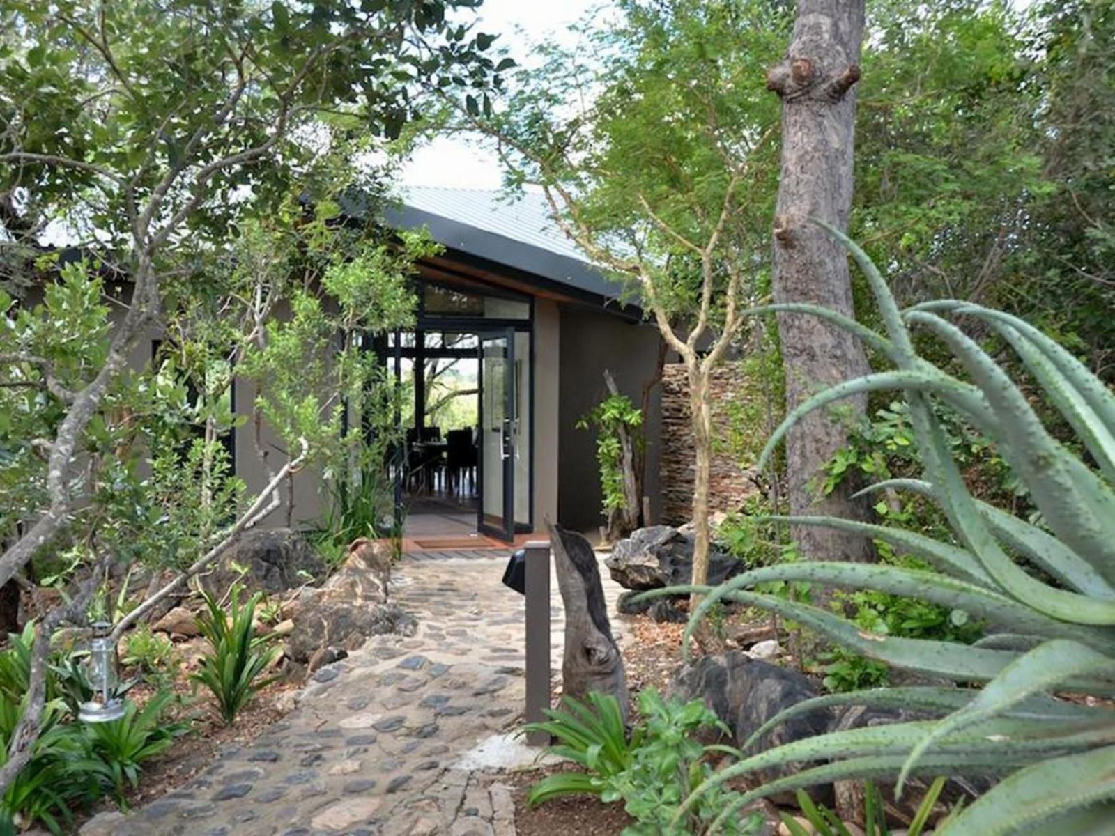 Greenfire Game Lodge Balule Nature Reserve Mpumalanga South Africa Plant, Nature, Garden