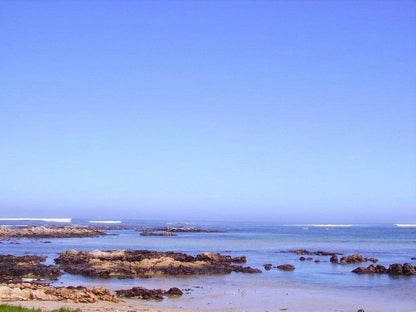 Driftwood Mcdougall S Bay Port Nolloth Northern Cape South Africa Colorful, Beach, Nature, Sand, Ocean, Waters