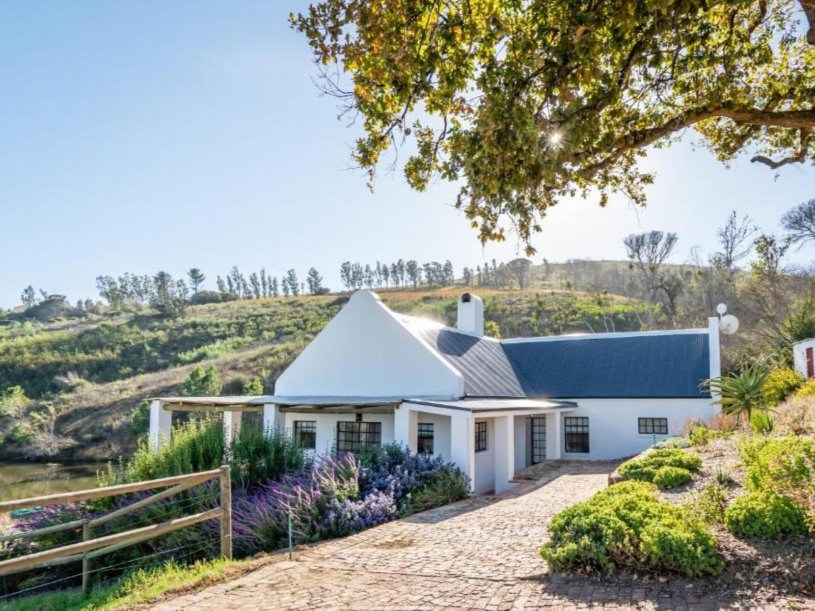 Druk-My-Niet Wine Estate, House, Building, Architecture