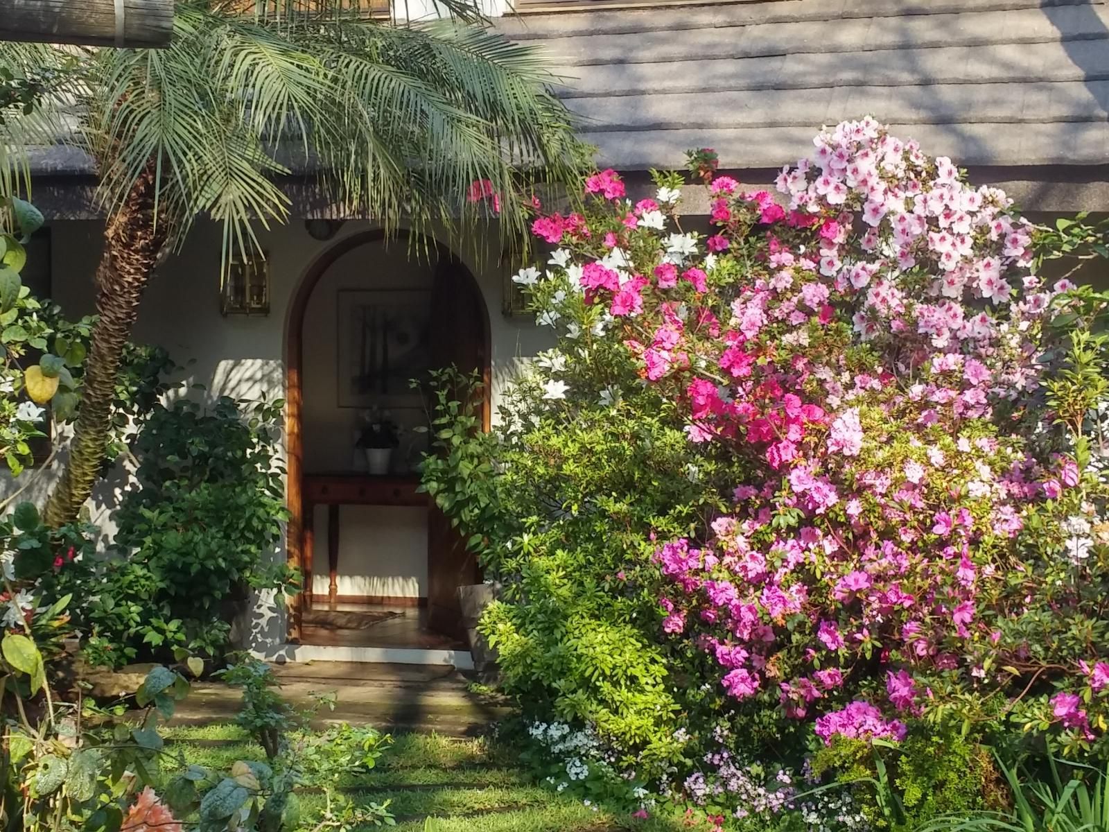 Du Barry Guesthouse Waterkloof Ridge Pretoria Tshwane Gauteng South Africa House, Building, Architecture, Plant, Nature, Garden