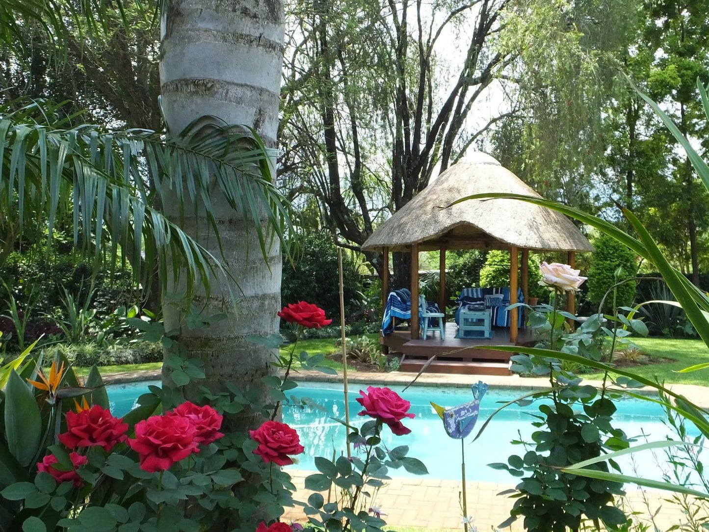 Dublin Guest Lodge Sabie Mpumalanga South Africa Plant, Nature, Garden, Swimming Pool