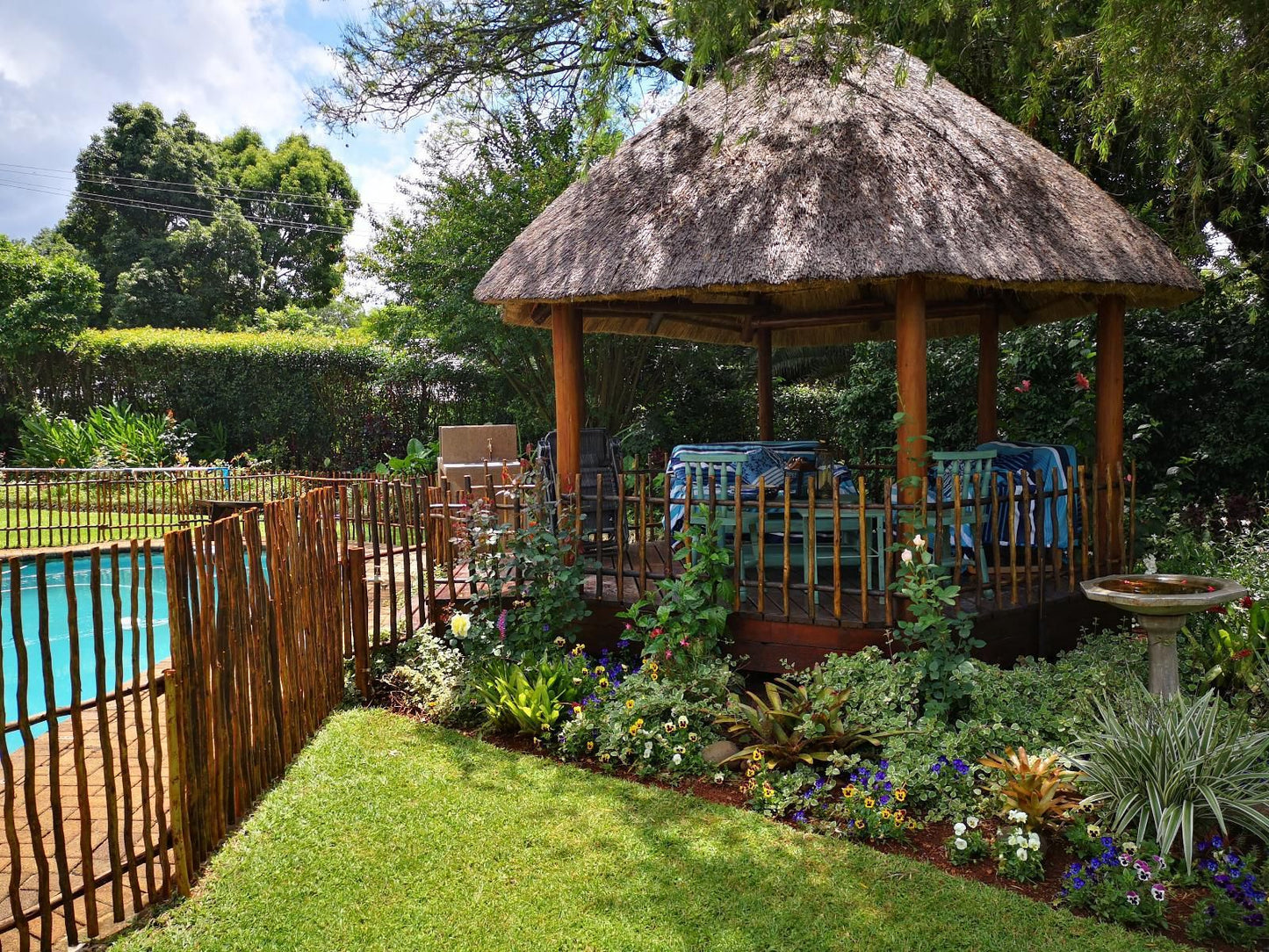 Dublin Guest Lodge Sabie Mpumalanga South Africa Plant, Nature, Garden