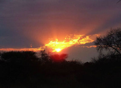 Dubula Mangi Safari Lodge Nelspruit Mpumalanga South Africa Sky, Nature, Clouds, Sunset