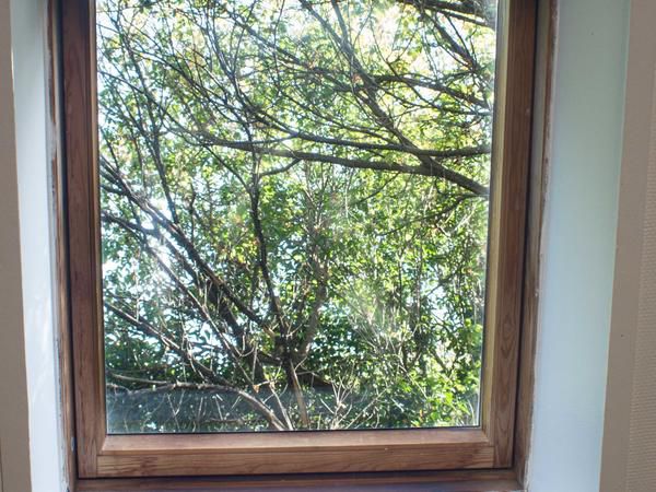 Ducks Country House And Venue Henley On Klip Gauteng South Africa Tree, Plant, Nature, Wood, Window, Architecture