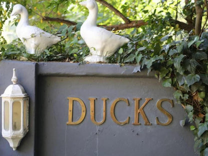 Ducks Country House, Bird, Animal, Sign