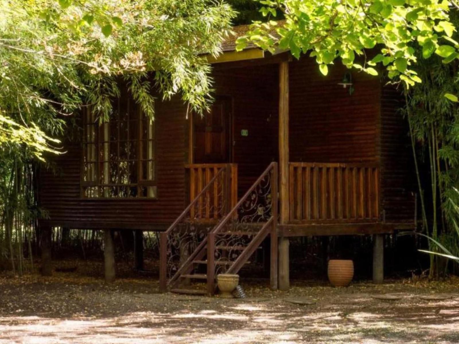 Ducks Country House, Log cabin 3, Cabin, Building, Architecture, Tree, Plant, Nature, Wood