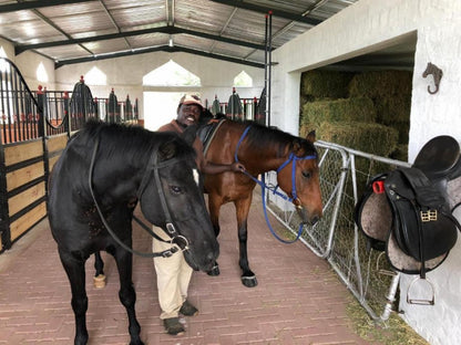 Duesternbrook Safari Guest Farm, Horse, Mammal, Animal, Herbivore, Person