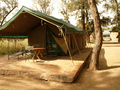 Duesternbrook Safari Guest Farm, African Room (Double), Sepia Tones, Tent, Architecture