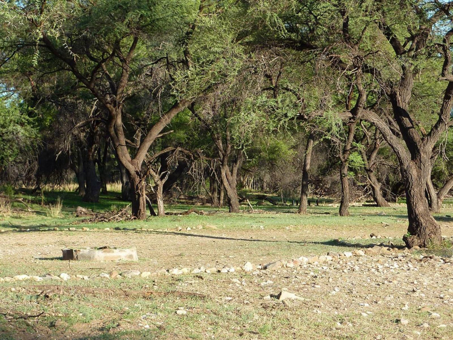 Duesternbrook Safari Guest Farm, Davidsdraai Chalet two, Ruin, Architecture, Tree, Plant, Nature, Wood, Cemetery, Religion, Grave