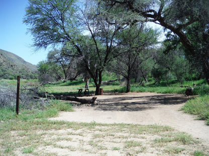 Duesternbrook Safari Guest Farm, Hippo Chalet two ( dbl, ), Nature