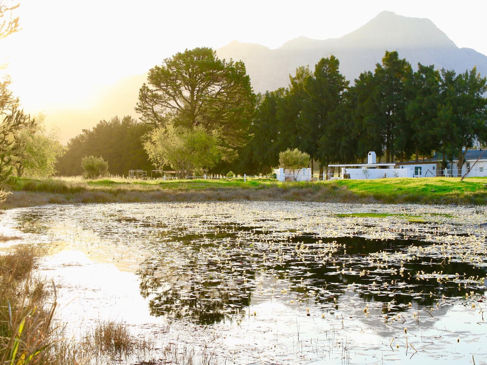 Duikersdrift Winelands Country Escape Tulbagh Western Cape South Africa River, Nature, Waters