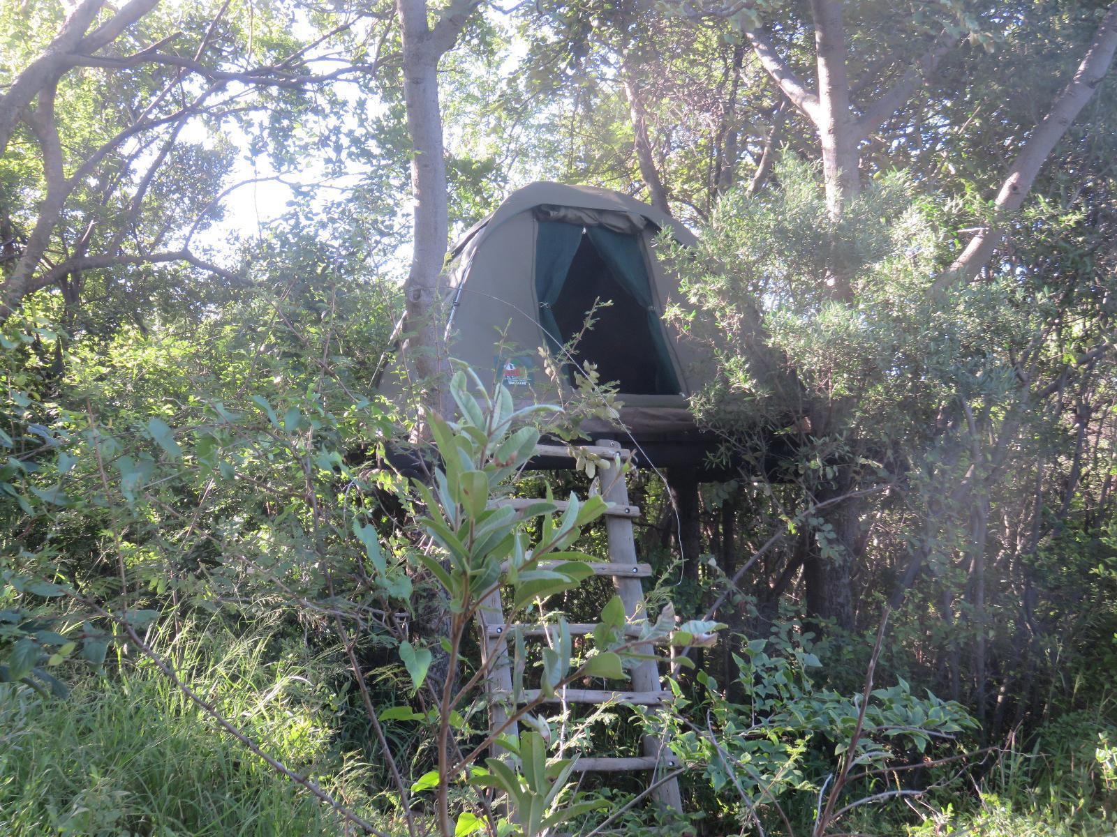 Duikerskloof Exclusive Tented Camp Buffelspoort North West Province South Africa Forest, Nature, Plant, Tree, Wood, Tent, Architecture