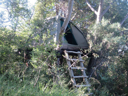 Duikerskloof Exclusive Tented Camp Buffelspoort North West Province South Africa Forest, Nature, Plant, Tree, Wood, Vehicle