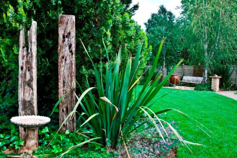 Duinerus Self Catering Accommodation Universitas Bloemfontein Free State South Africa Plant, Nature, Garden