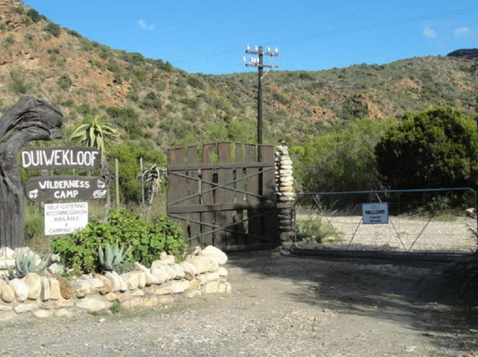 Duiwekloof Lodge Baviaanskloof Eastern Cape South Africa Cactus, Plant, Nature, Hollywood Sign, Sight, Architecture, Sign, Text, Travel