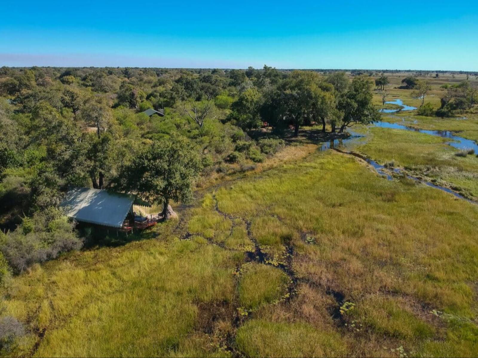 Duke'S Camp, Lowland, Nature