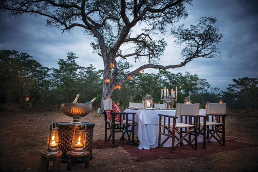 Dulini Lodge And Private Game Reserve Sabi Sand Reserve Mpumalanga South Africa 