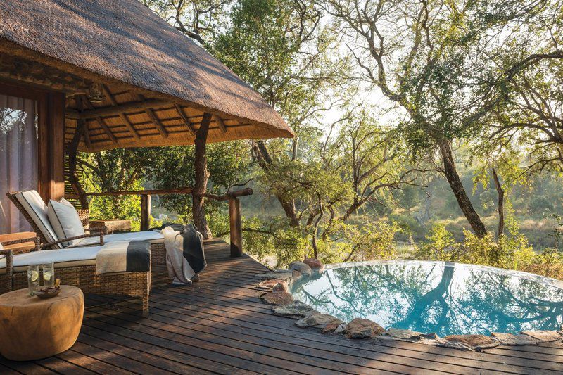 Dulini Lodge And Private Game Reserve Sabi Sand Reserve Mpumalanga South Africa Swimming Pool