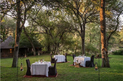 Dulini Lodge And Private Game Reserve Sabi Sand Reserve Mpumalanga South Africa Place Cover, Food