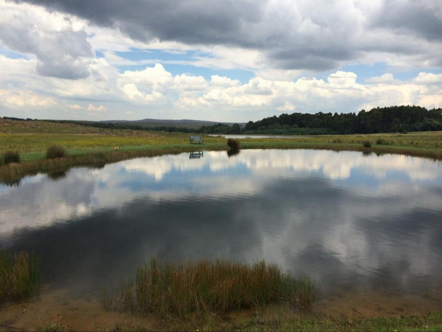 Dullstroom Manor Dullstroom Mpumalanga South Africa Sky, Nature