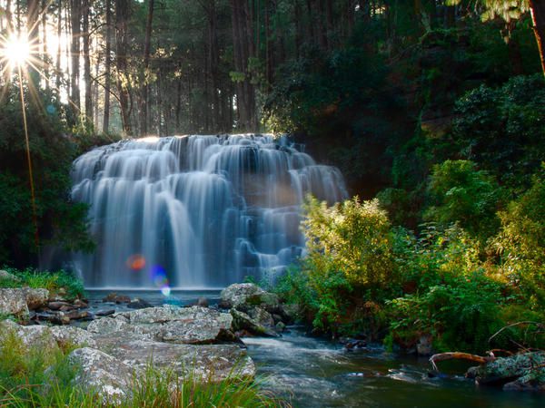 Dullstroom Country Cottages Dullstroom Mpumalanga South Africa Waterfall, Nature, Waters