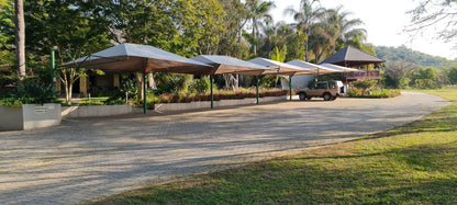 Duma Lodge Tekwane South Tekwane Mpumalanga South Africa Beach, Nature, Sand, Palm Tree, Plant, Wood