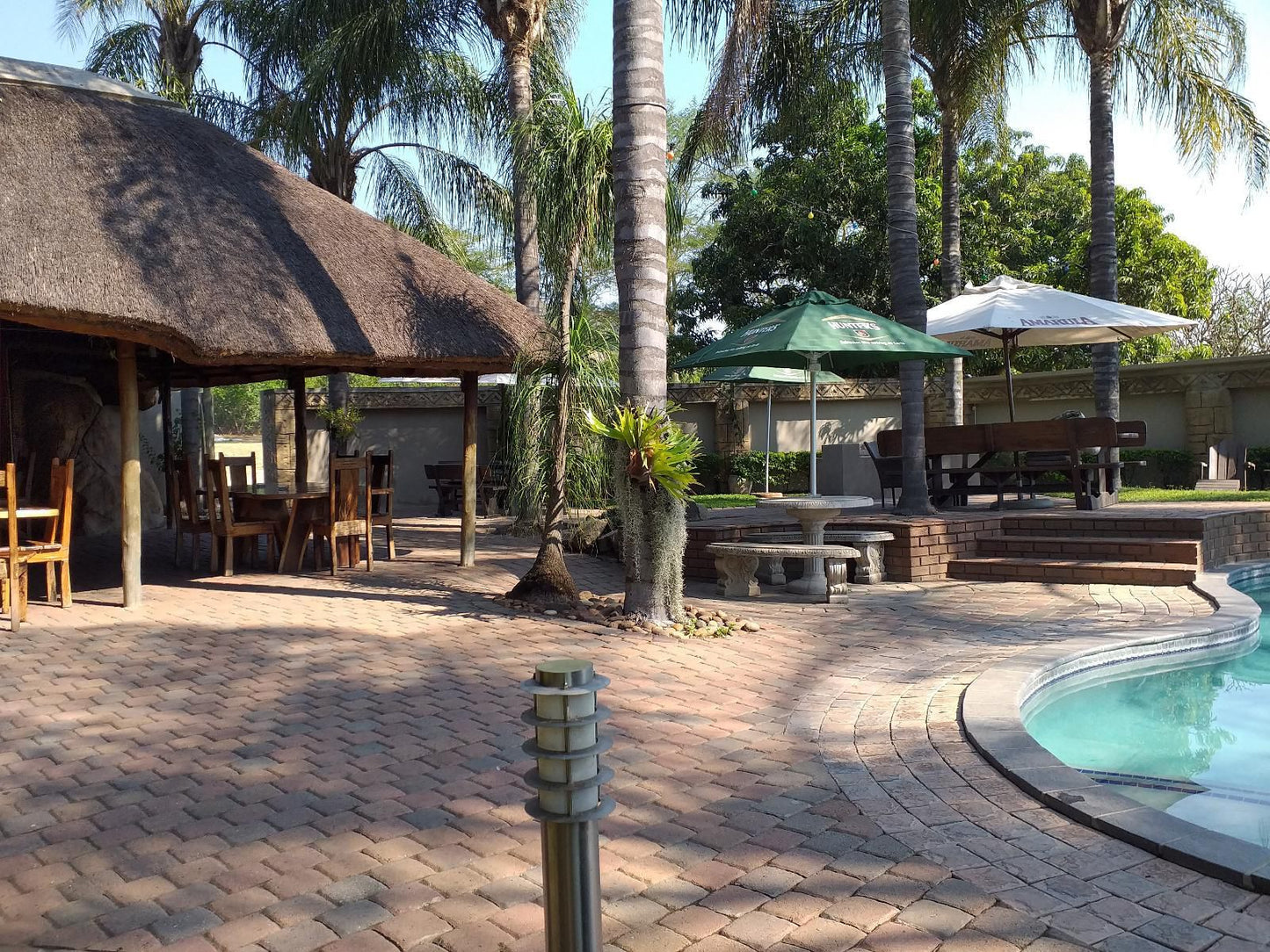 Duma Lodge Tekwane South Tekwane Mpumalanga South Africa Palm Tree, Plant, Nature, Wood, Swimming Pool