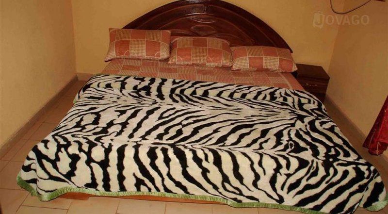 Dumac Suites Riviera Pretoria Tshwane Gauteng South Africa Zebra, Mammal, Animal, Herbivore