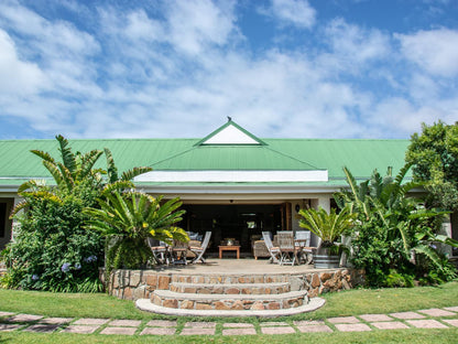 Dune Ridge Country House Fijnbosch Estate St Francis Bay Eastern Cape South Africa Complementary Colors, Palm Tree, Plant, Nature, Wood