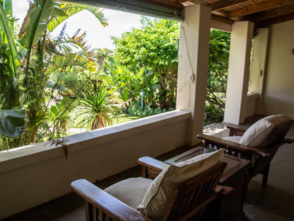 Dune Ridge Country House Fijnbosch Estate St Francis Bay Eastern Cape South Africa Palm Tree, Plant, Nature, Wood