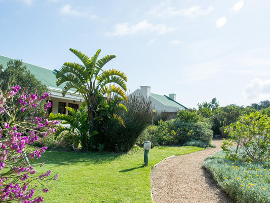 Dune Ridge Country House Fijnbosch Estate St Francis Bay Eastern Cape South Africa Complementary Colors, House, Building, Architecture, Palm Tree, Plant, Nature, Wood, Garden