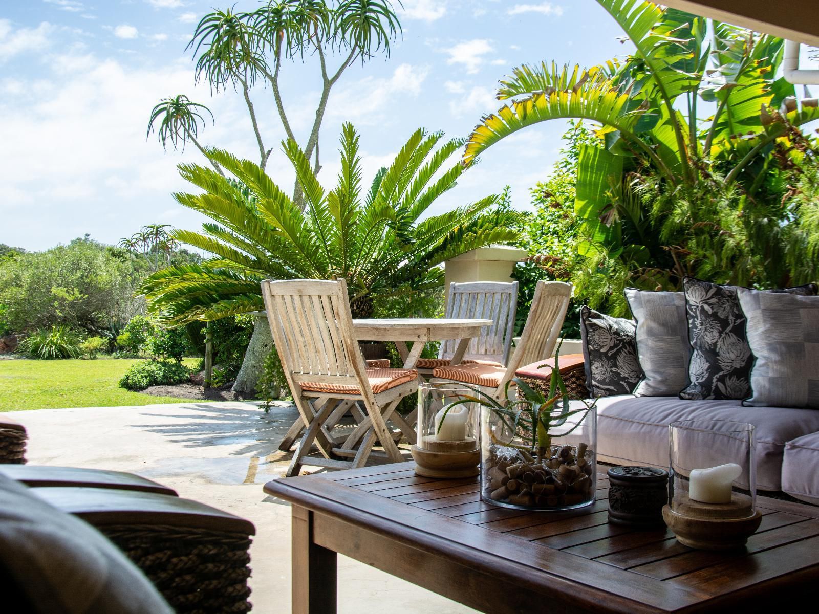 Dune Ridge Country House Fijnbosch Estate St Francis Bay Eastern Cape South Africa Palm Tree, Plant, Nature, Wood, Garden, Living Room