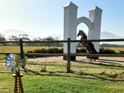 Dunkes Organic Equestrian Estate Kingswood Golf Estate George Western Cape South Africa Horse, Mammal, Animal, Herbivore