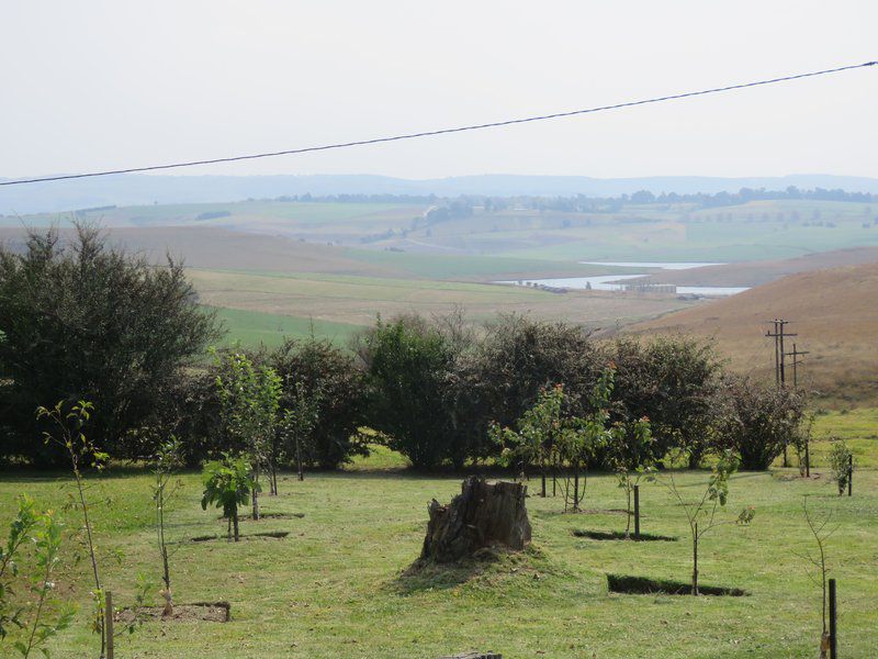 Dunroamin Bed And Breakfast Mooi River Kwazulu Natal South Africa Field, Nature, Agriculture, Tree, Plant, Wood, Lowland