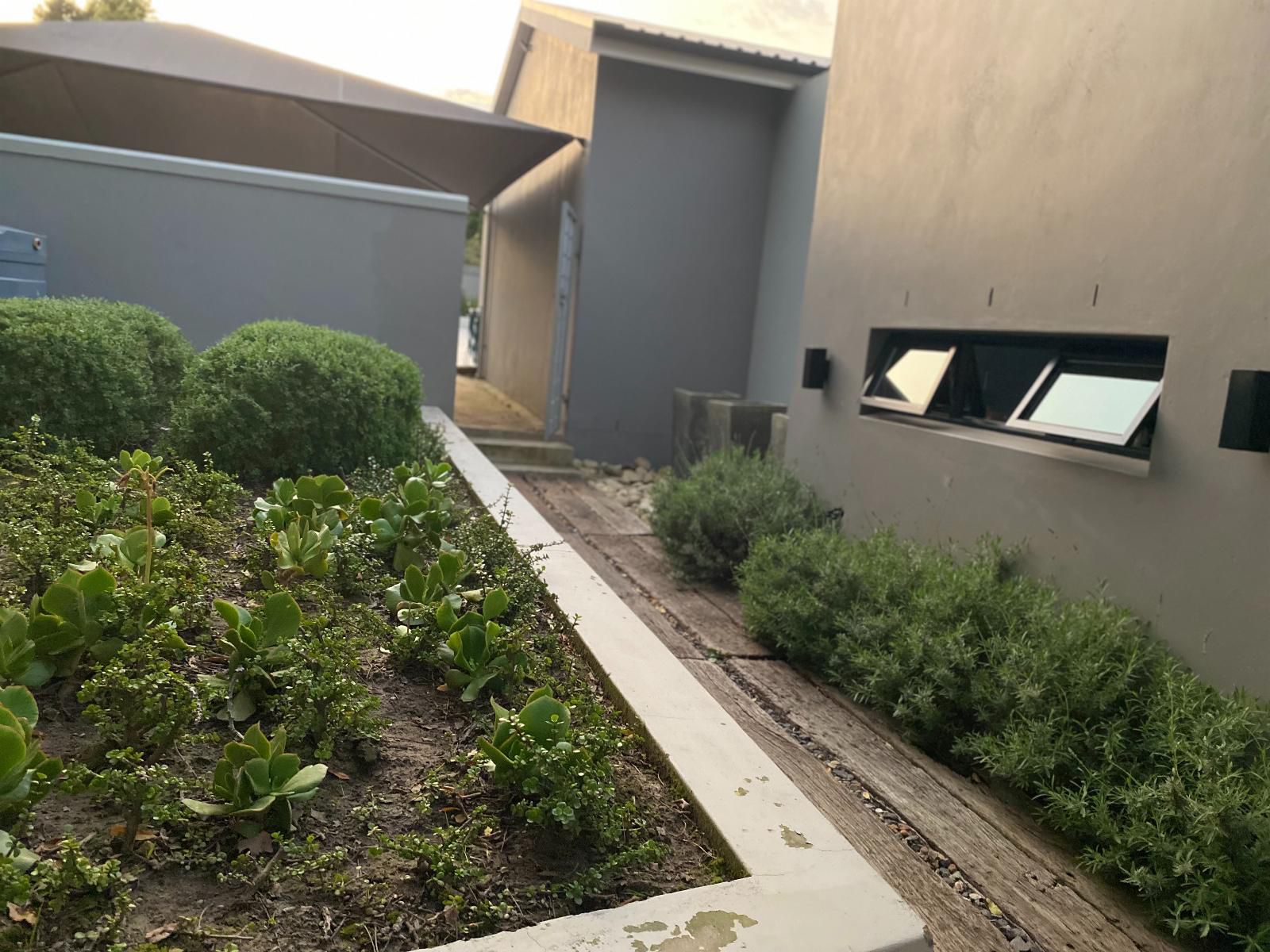 Durbanville Self Catering Apartments, Garden, Nature, Plant