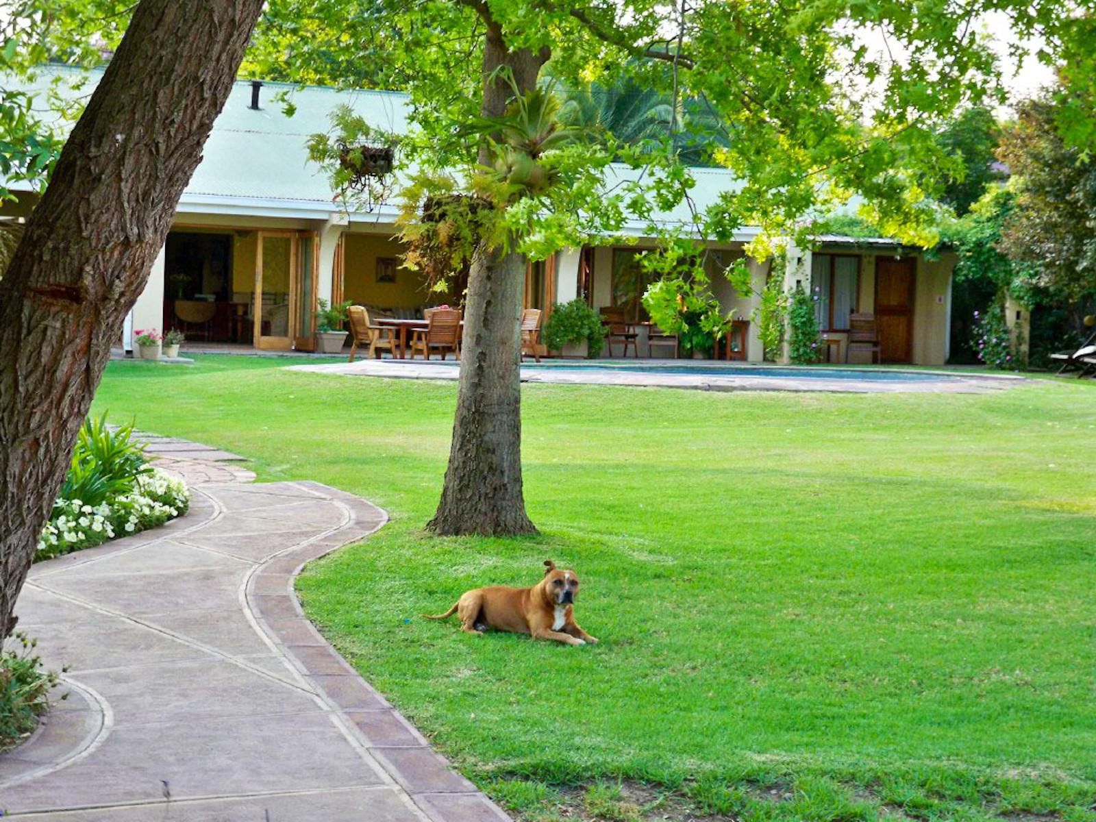 Durnfords Lodge Ladysmith Kwazulu Natal Kwazulu Natal South Africa House, Building, Architecture, Plant, Nature, Garden