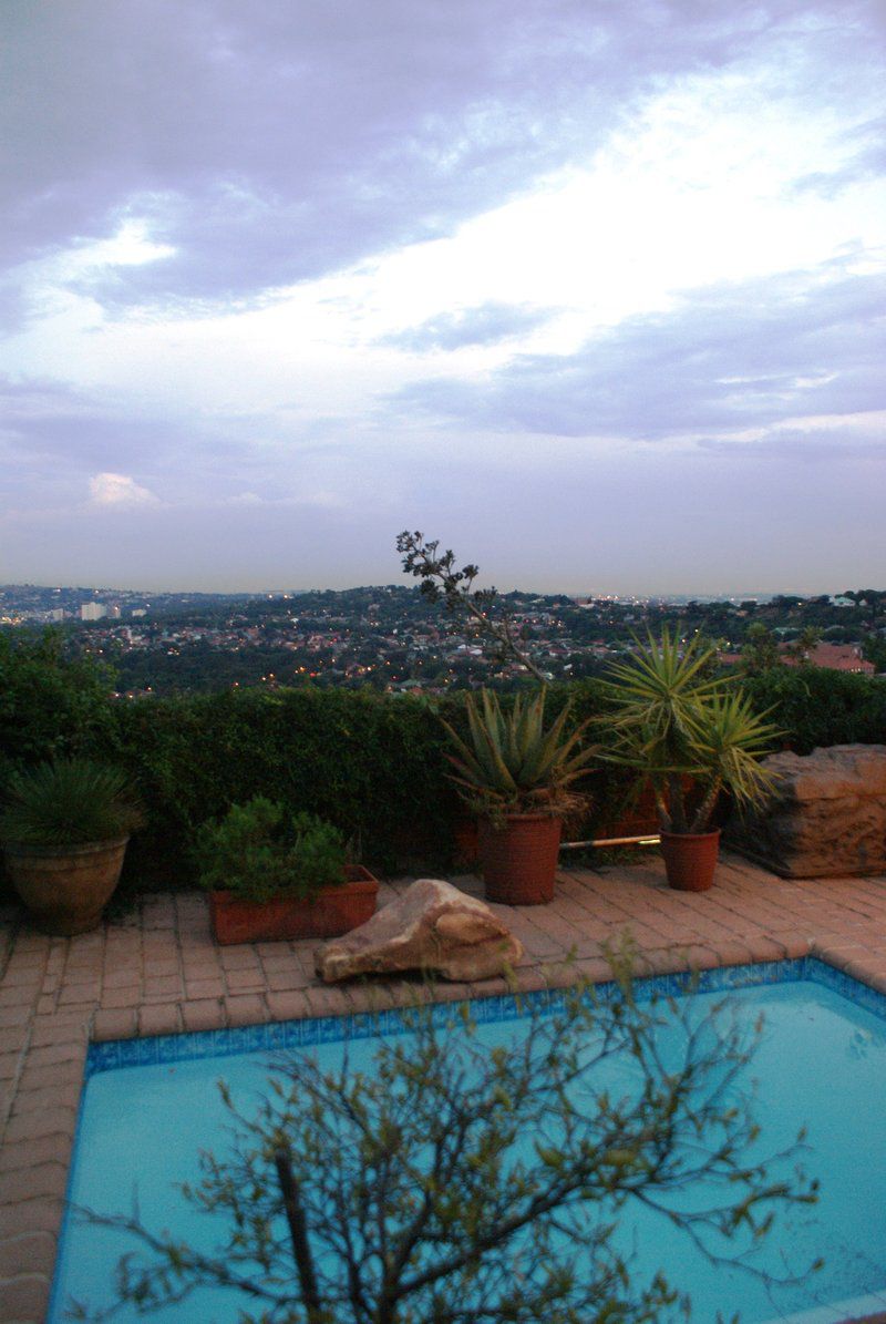 Dusk Till Dawn Backpackers Kensington Johannesburg Gauteng South Africa House, Building, Architecture, Palm Tree, Plant, Nature, Wood, Garden, Swimming Pool