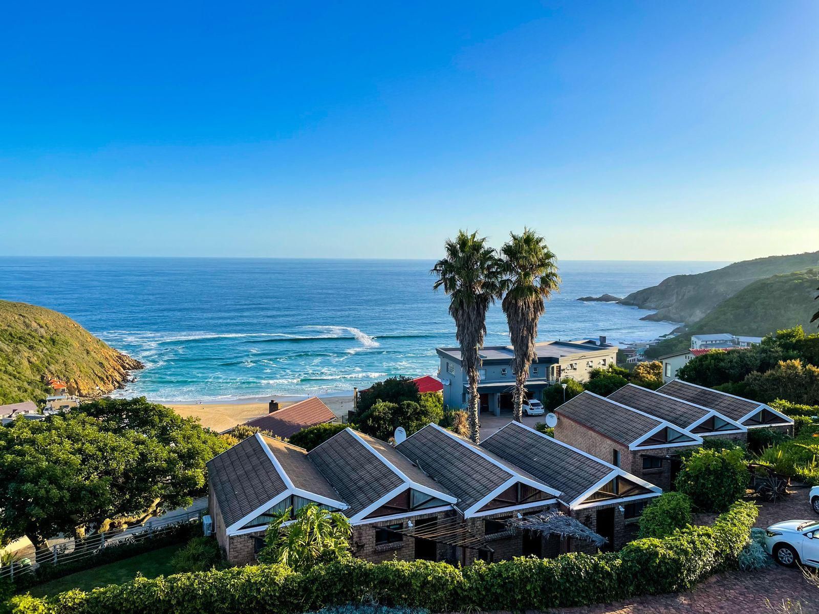 Dutton S Cove Guesthouse Herolds Bay Western Cape South Africa Beach, Nature, Sand, Palm Tree, Plant, Wood